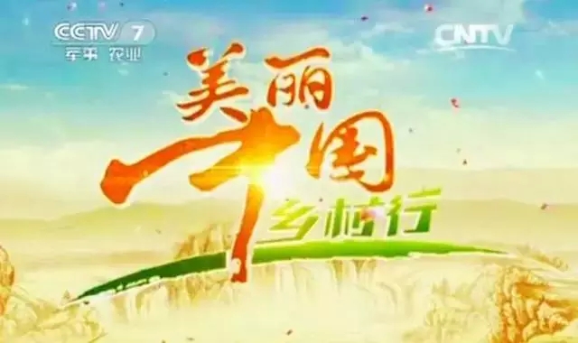 2015年8月10日中央电视台在恒益拍摄《美丽中国乡村行》过程回顾！